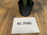 Real touch alocasia tree kunstplant (2x) (175cm hoog) - afbeelding 3 van  11