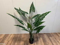 Real touch alocasia tree kunstplant (2x) (175cm hoog) - afbeelding 1 van  11