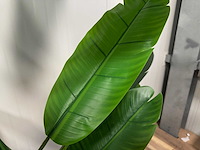 Real touch banana tree kunstplant (185cm hoog) - afbeelding 3 van  14