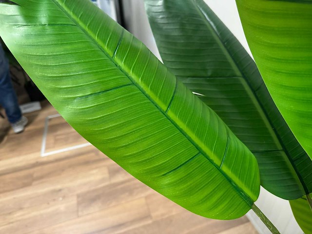 Real touch banana tree kunstplant (185cm hoog) - afbeelding 2 van  14