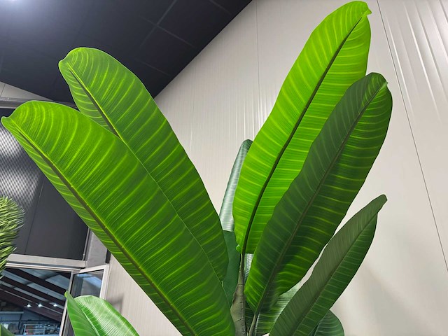 Real touch banana tree kunstplant (260cm hoog) - afbeelding 15 van  17