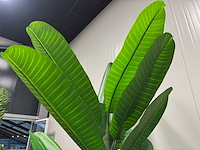 Real touch banana tree kunstplant (260cm hoog) - afbeelding 15 van  17