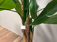 Real touch banana tree kunstplant (2x) (185cm hoog) - afbeelding 13 van  14