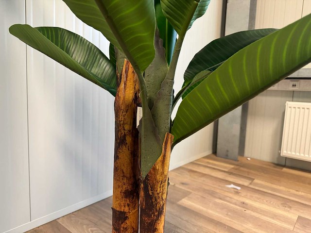 Real touch banana tree kunstplant (2x) (200cm hoog) - afbeelding 4 van  16