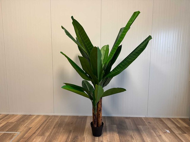 Real touch banana tree kunstplant (2x) (200cm hoog) - afbeelding 1 van  16