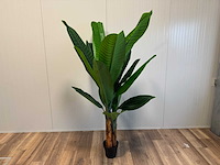 Real touch banana tree kunstplant (2x) (200cm hoog) - afbeelding 12 van  16