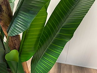 Real touch banana tree kunstplant (2x) (260cm hoog) - afbeelding 5 van  17