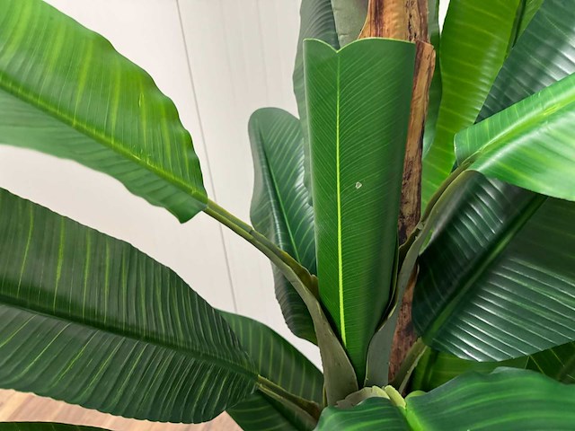 Real touch banana tree kunstplant (2x) (260cm hoog) - afbeelding 6 van  17