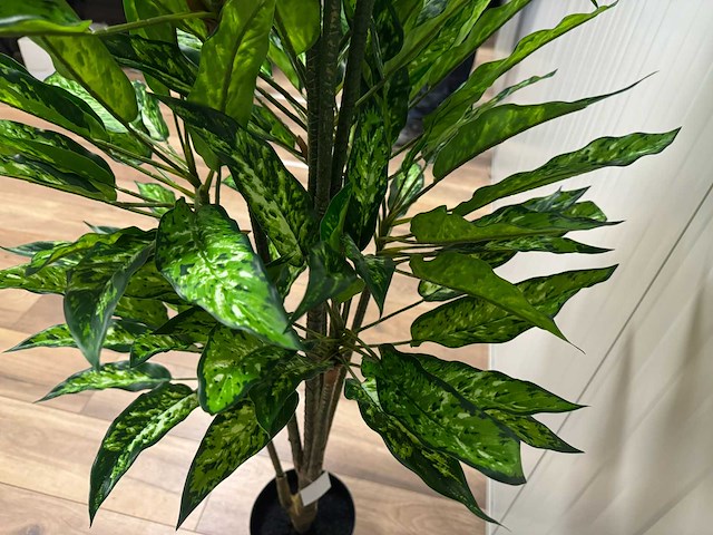 Real touch dieffenbachia kunstplant (160cm hoog) - afbeelding 2 van  15