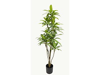 Real touch dieffenbachia kunstplant (160cm hoog) - afbeelding 8 van  15