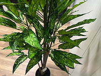 Real touch dieffenbachia kunstplant (160cm hoog) - afbeelding 2 van  13