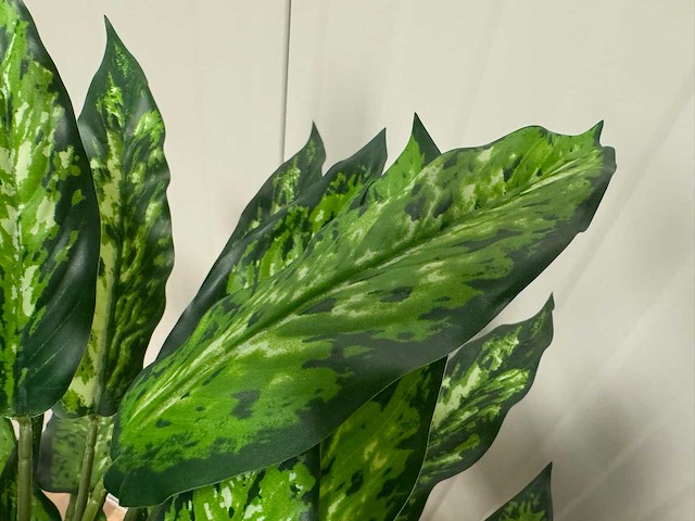 Real touch dieffenbachia kunstplant (160cm hoog) - afbeelding 3 van  13