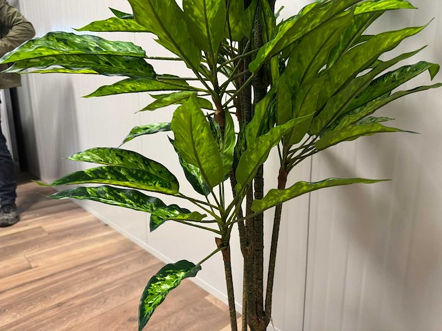 Real touch dieffenbachia kunstplant (160cm hoog) - afbeelding 6 van  13