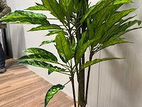 Real touch dieffenbachia kunstplant (160cm hoog) - afbeelding 6 van  13
