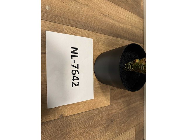 Real touch dieffenbachia kunstplant (160cm hoog) - afbeelding 7 van  13