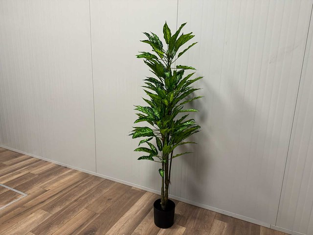 Real touch dieffenbachia kunstplant (160cm hoog) - afbeelding 9 van  13