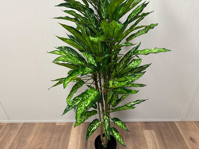 Real touch dieffenbachia kunstplant (160cm hoog) - afbeelding 10 van  13