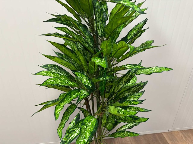 Real touch dieffenbachia kunstplant (160cm hoog) - afbeelding 13 van  13