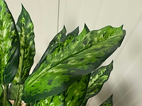 Real touch dieffenbachia kunstplant (160cm hoog) - afbeelding 1 van  8