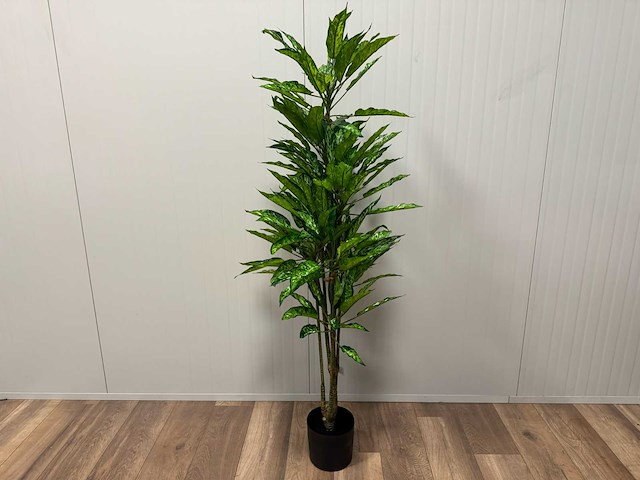 Real touch dieffenbachia kunstplant (160cm hoog) - afbeelding 1 van  15