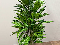 Real touch dieffenbachia kunstplant (160cm hoog) - afbeelding 15 van  15
