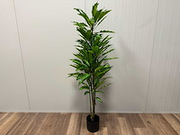 Real touch dieffenbachia kunstplant (160cm hoog) - afbeelding 1 van  15