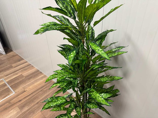 Real touch dieffenbachia kunstplant (2x) (160cm hoog) - afbeelding 12 van  15