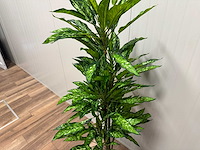 Real touch dieffenbachia kunstplant (2x) (160cm hoog) - afbeelding 12 van  15