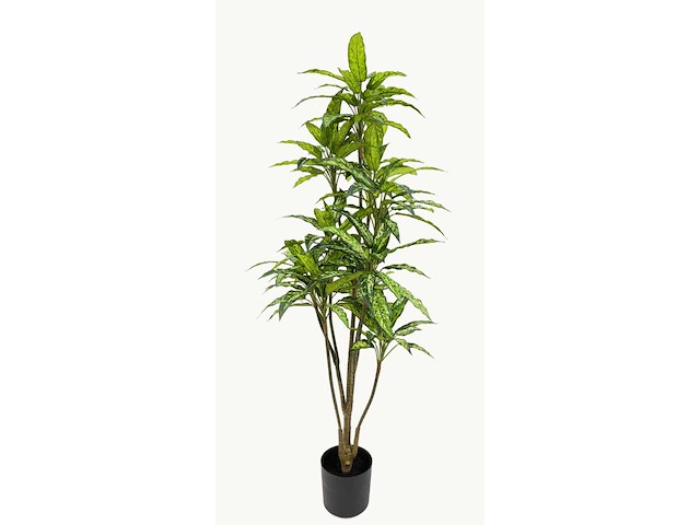 Real touch dieffenbachia kunstplant (2x) (160cm hoog) - afbeelding 8 van  15