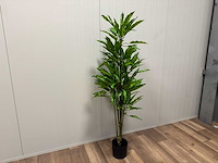 Real touch dieffenbachia kunstplant (2x) (160cm hoog) - afbeelding 9 van  15
