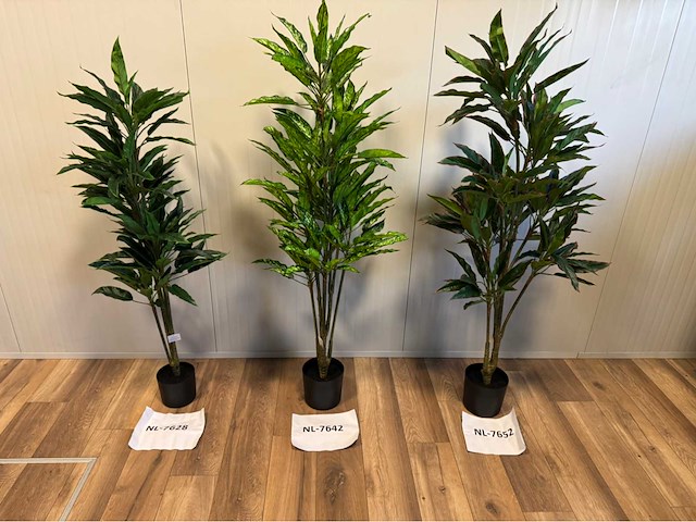 Real touch dieffenbachia kunstplant (3x) - afbeelding 2 van  10