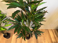 Real touch dieffenbachia kunstplant (3x) - afbeelding 10 van  10