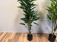 Real touch dieffenbachia kunstplant (3x) - afbeelding 5 van  10