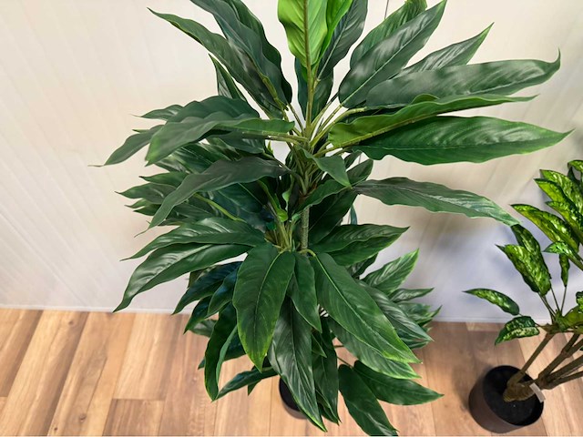 Real touch dieffenbachia kunstplant (3x) - afbeelding 6 van  10