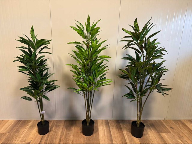Real touch dieffenbachia kunstplant (3x) - afbeelding 1 van  10