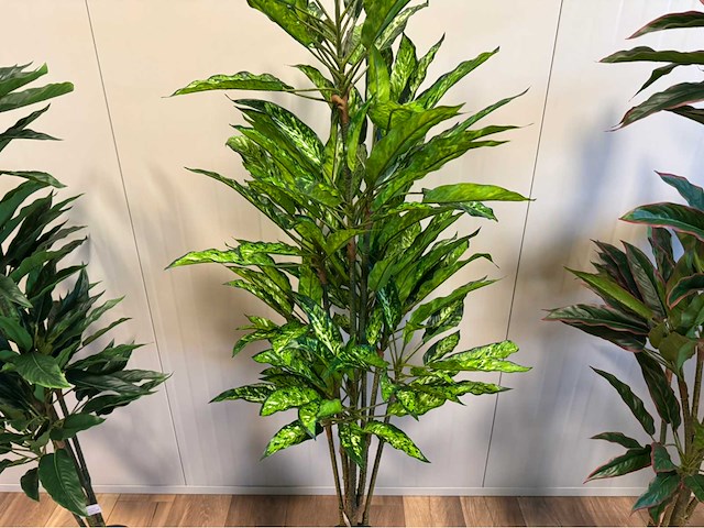 Real touch dieffenbachia kunstplant (3x) - afbeelding 7 van  10
