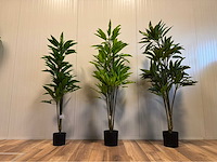 Real touch dieffenbachia kunstplant (3x) - afbeelding 3 van  10