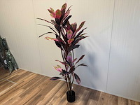 Real touch dracaena green red kunstplant (2x) (200cm hoog) - afbeelding 1 van  14