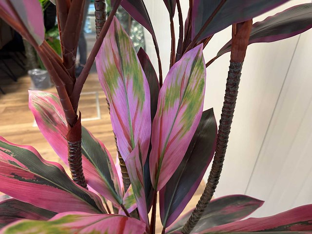 Real touch dracaena green red kunstplant (2x) (200cm hoog) - afbeelding 4 van  14
