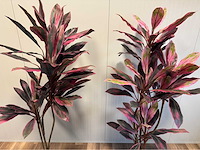 Real touch dracaena green red kunstplant (2x) - afbeelding 4 van  4