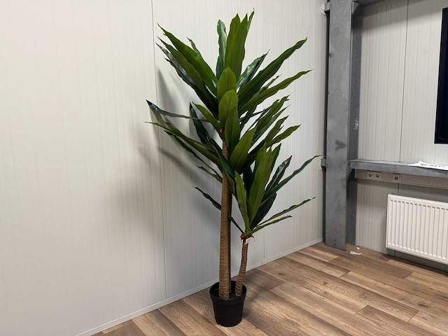 Real touch dracaena tree kunstplant (190cm hoog) - afbeelding 1 van  10