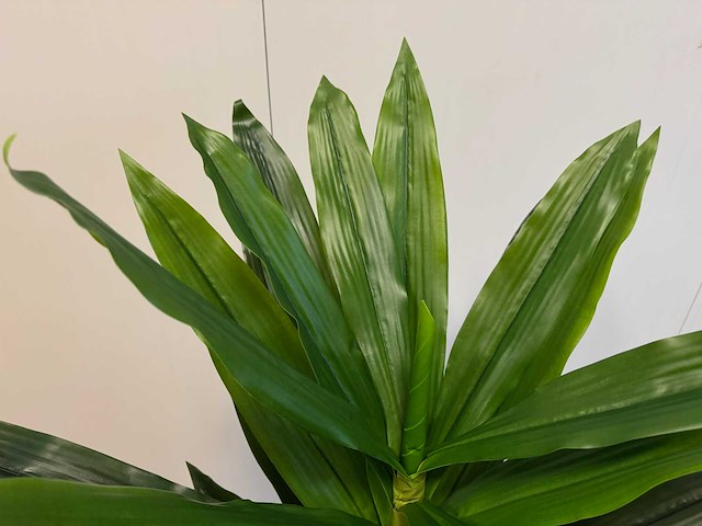 Real touch dracaena tree kunstplant (2x) (140cm hoog) - afbeelding 15 van  15