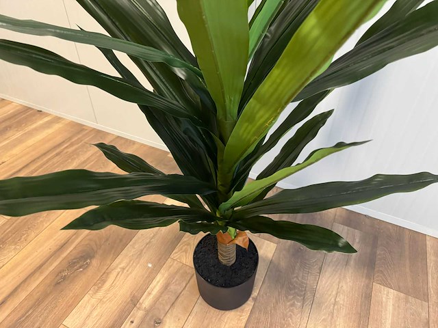 Real touch dracaena tree kunstplant (2x) (140cm hoog) - afbeelding 14 van  15