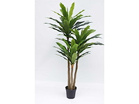 Real touch dracaena tree kunstplant (2x) (190cm hoog) - afbeelding 3 van  10