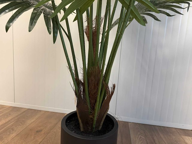 Real touch fan palm kunstplant (180cm hoog) - afbeelding 3 van  6