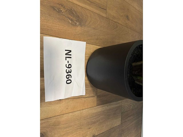 Real touch fan palm kunstplant (180cm hoog) - afbeelding 5 van  6