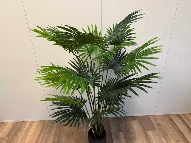 Real touch fan palm kunstplant (180cm hoog) - afbeelding 11 van  15
