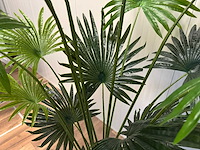Real touch fan palm kunstplant (2x) (180cm hoog) - afbeelding 2 van  15