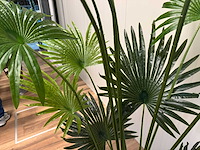 Real touch fan palm kunstplant (2x) (180cm hoog) - afbeelding 3 van  15