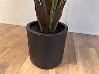 Real touch fan palm kunstplant (2x) (180cm hoog) - afbeelding 6 van  15